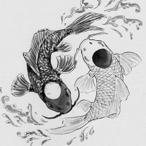 Meet your Posher, Annakin